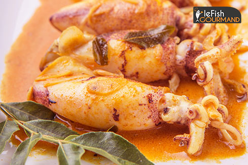Petits calmars cuisinées en sauce tomate lefishgourmand